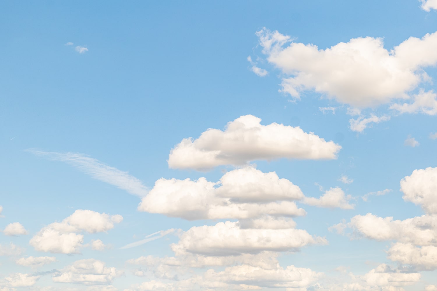 LOISIUM_CHO_2025_SZ-32-min