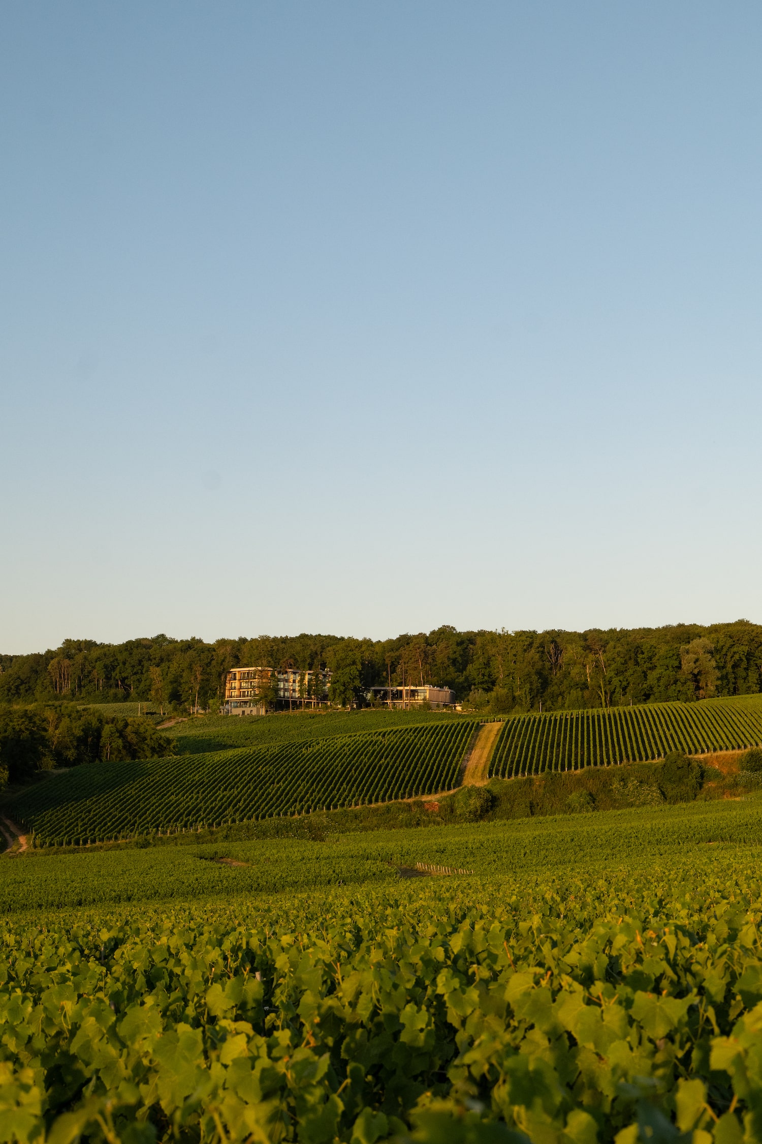 LOISIUM_CHO_2025_SZ-83-min